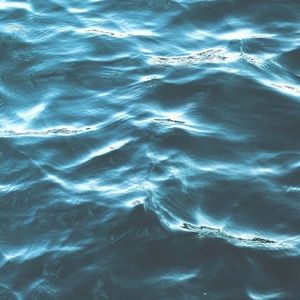 Meet your Posher, Kylee